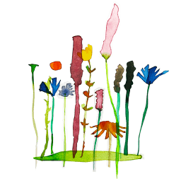 Seed
