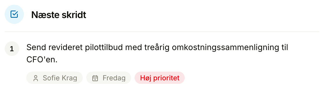 Næste skridt, der blev aftalt på mødet